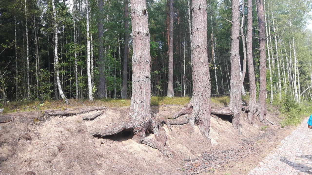 Lipowo KurkowskieBakusiowy Zakatekアパートメント エクステリア 写真